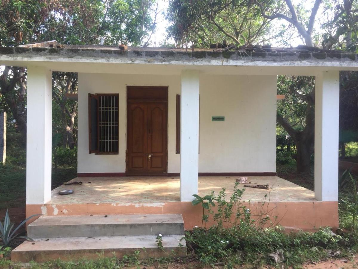 Art Forest Hotel Auroville Exterior photo